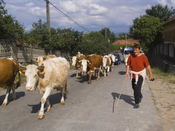 Europe. Romania. Transylvania. Around Densus. Deva Area Europe. Romania. Transylvania. Around Densus. Deva Zone
