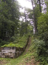 Europe. Romania. Transylvania. Cioclovina Mountain National Park. Ruins Of Ulpia Traiana Sarmizegetusa. Deva Area Europe. Romania. Transylvania. Mount Cioclovina National Park. Ruins of Ulpia Traiana Sarmizegetusa. Deva Zone