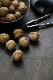 Walnuts, products rich in Vitamin E for a healthy diet, Italy, Europe