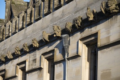 Image 818193508