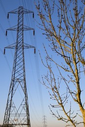 Electricity pylons and budding trees in Lower Radley, Spring sunrise