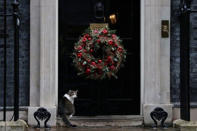 Image 826903119
