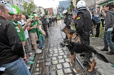 Image 828818927