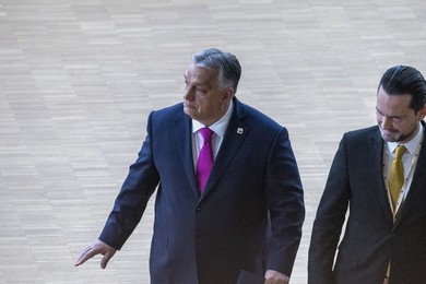 EUROPEAN COUNCIL SUMMIT MEETING THURSDAY