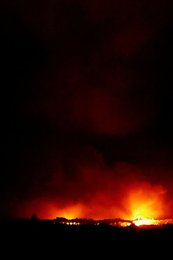 Image 829766769