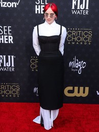 29th Annual Critics' Choice Awards