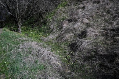 Landscapes of Zaporizhzhia