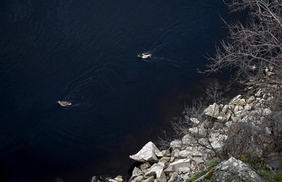 Landscapes of Zaporizhzhia
