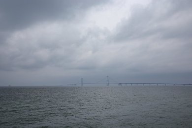 Image 862382154