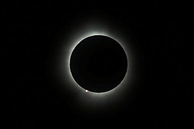 Image 863419216