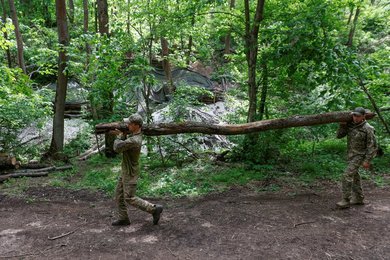 Image 868086153