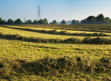 Electricity pylon and silage awaiting collection in Radley Village at dawn