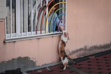 Image 878481994