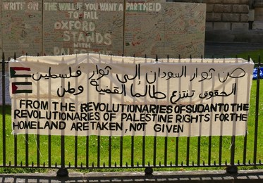 Image 882719357
