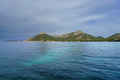 Image 884380331