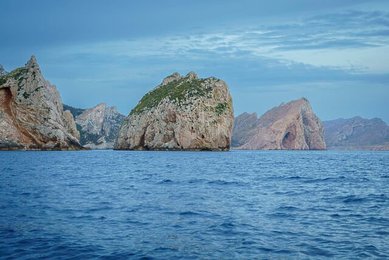 Image 884381164