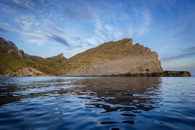 Image 884381603