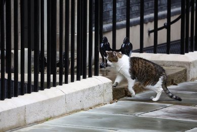 Image 887422914