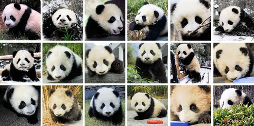 Image 888955183