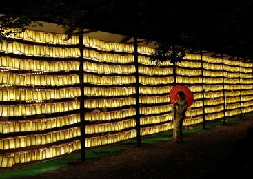 Image 889470263