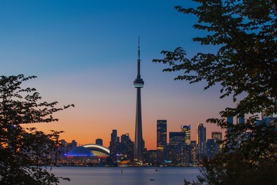 Image 890009203
