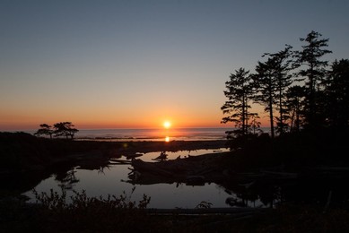 Image 890246490