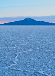 Image 890249946