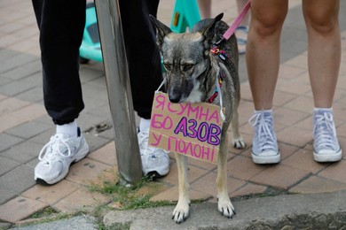 Image 897937647