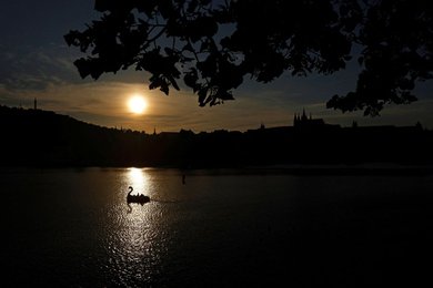 Image 898359540