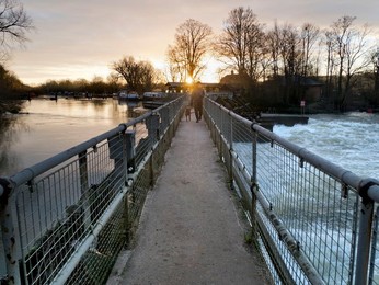 Image 903203273