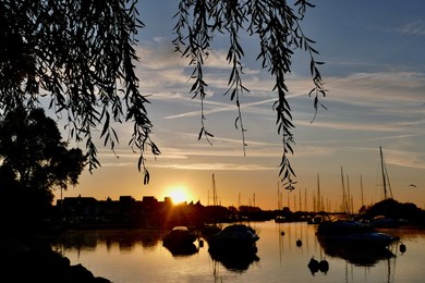 Image 907192807