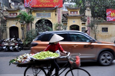 Image 911730603