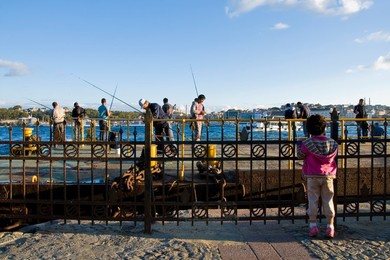 Image 911750985