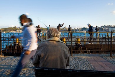 Image 911802076
