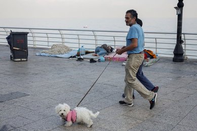 Image 917114965