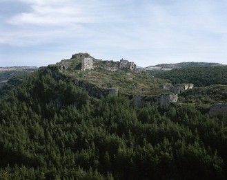 Image 923257882