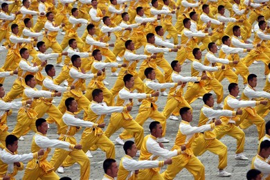 Image 923407266
