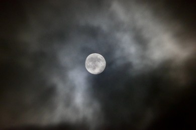 Image 934466935