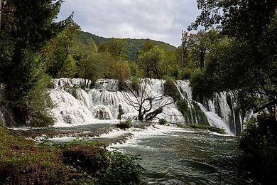 Image 937786584