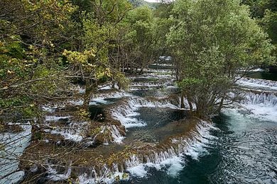 Image 937789654