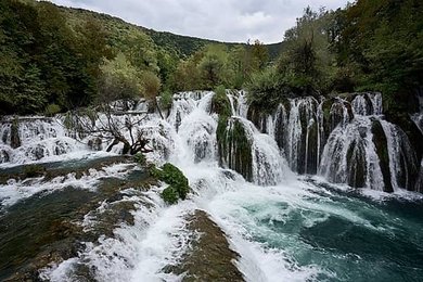 Image 937794295