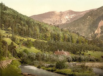Image 938659606