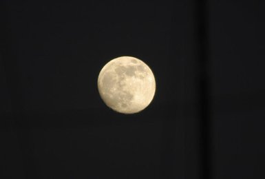 Image 939299941