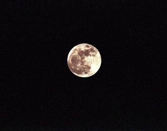 Image 939299943