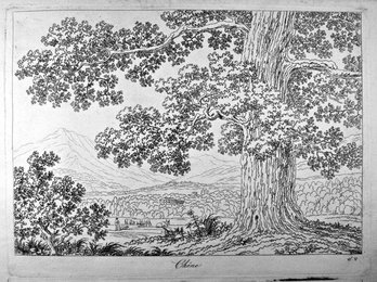 Basis for learning how to draw the natural landscape (Principes pour apprendre à dessiner le paysage après nature), by Philippe Hackert, 1801 - 1802, 19th Century, etching