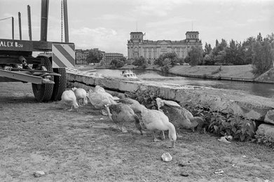 Image 939983495
