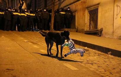 Image 942968895