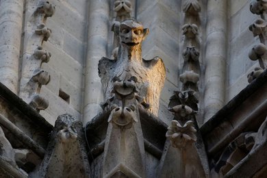 Image 943676572