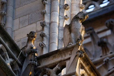 Image 943676574