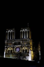 Image 943701203